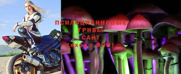 прущие крисы Михайловка