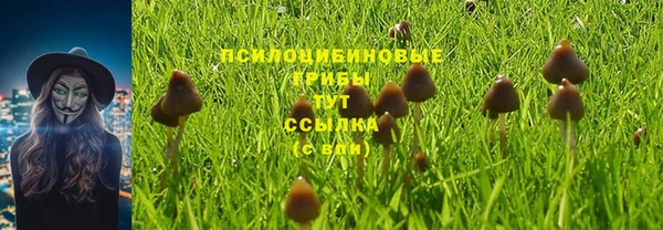 прущие крисы Михайловка