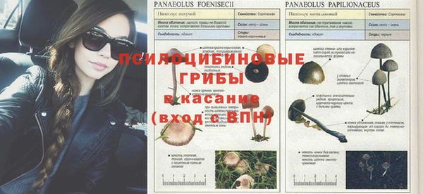 герыч Михайловск