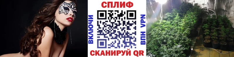 Канабис планчик  Нестеров 